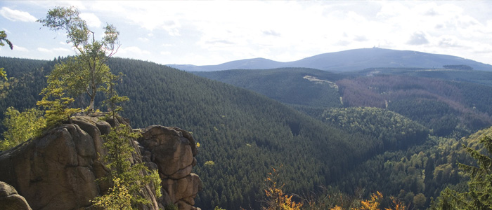Ferienwohnung am Wolfstein