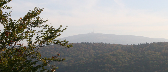 Ferienwohnung am Wolfstein